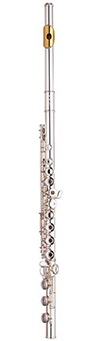 yamaha allegro flute intermediate level